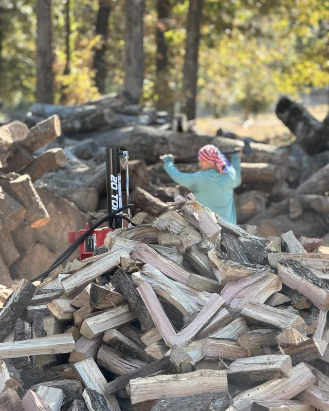 A pile of freshly split oak next to a 20-ton log splitter