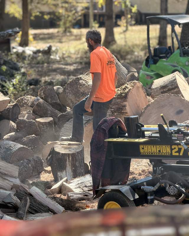 Splitting oak rounds with a log splitter at the woodlot