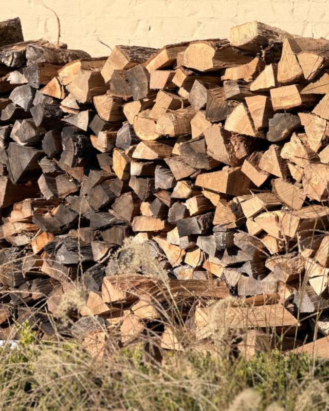 A long wall of stacked split oak in late-afternoon light